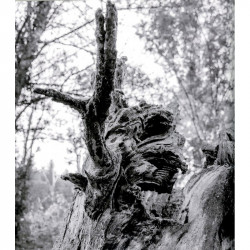 Cartografia d'un sòmi - Cartographie d'un songe - Daidièr Mir