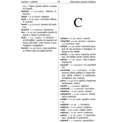 Il Provenzale Alpino di Villaretto - Ezio Martin - Extract