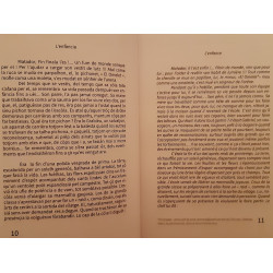 Grabièu e la corrida - Gabriel et la corrida - Claude GAICH