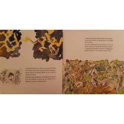 La montagne Bleue - La montanha blava - Édouard Monneau