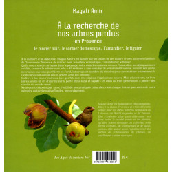 Les Alpes de lumière n°164 A la recherche de nos arbres perdus en Provence - Magali AMIR - 4ième de couverture