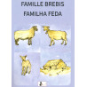 Las bèstias de la bòria - Les bêtes de la ferme (jeu de cartes) - Carte Famille Brebis