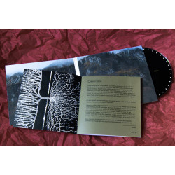 Camin Sobiran - Aèdes - intérieur de la pochette CD