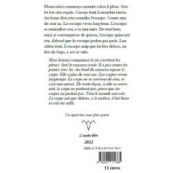 Briso de lus - Emmanuel Desiles