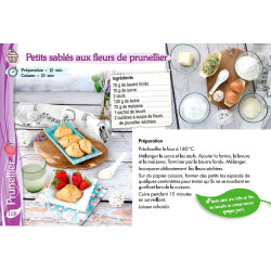 Mes recettes sauvages - Olivier Tourillon - Extract