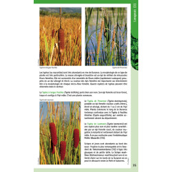 Randonnées botaniques dans les Hautes-Alpes (Volume 2) - Extrait