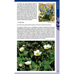 Randonnées botaniques dans les Hautes-Alpes (Volume 2) - Extrait