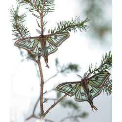 Instants Nature - Olivier Tourillon - Extrait