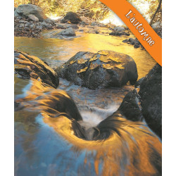 Instants Nature - Olivier Tourillon - Extrait