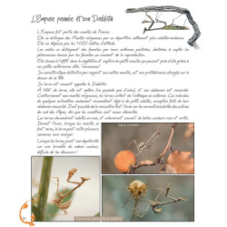 Instants Nature - Olivier Tourillon - Extrait