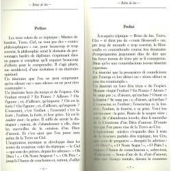 Briso de lus - Emmanuel Desiles - Prefàci