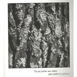 De rusca e d'ombra (D'écorce et d'ombre) - Guy MATHIEU - Extrait