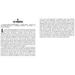 Petite histoire du Languedoc, des origines au XXe siècle - Paul GACHON