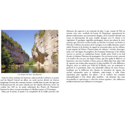 Petite histoire du Languedoc, des origines au XXe siècle - Paul GACHON