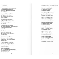 Ma chanson est une ambulance - Henri Étienne Dayssol - Extrait