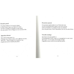 Dins toun païs d'ivèr (Dans ton pays d'hiver) - Marc Dumas - Extrait