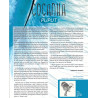 Puput - Cocanha (Vinyle) - Article Lo Diari 55