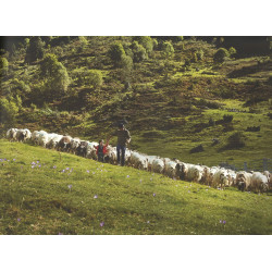 L'An de l'Aulhèr (L'année du berger) - Denis Frossard - Extract