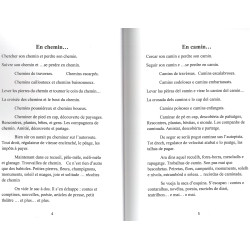 Tot en Camin - Tout en Chemin - Jòrdi PELADAN - Extrait