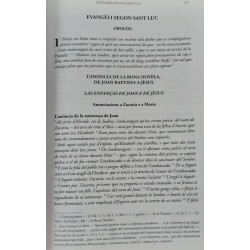 La Bíblia - Novèl Testament (Revirada de Joan Roqueta-Larzac) - Estrach