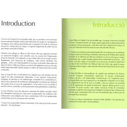 El Canigó, illa efímera de Provença - Alain Origné - Introduction