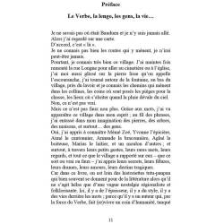 Gens de Bauduen – Avant la naissance, en 1973, du lac de Sainte-Croix, en Haute-Provence - Éric Schulthess - Préface