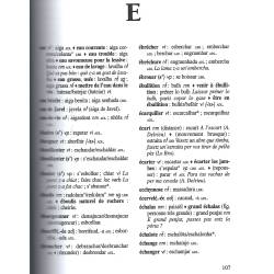 Petit dictionnaire français-occitan d'Auvergne - Christian Omelhièr - Extrait