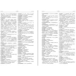 Dictionnaire français-occitan (gascon) volume 1 A K - Extrait