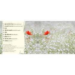 Terra blanca - Hombeline & Mohn (CD)