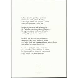 Quatre Cantico pèr l'Age d'Or - Max-Philippe Delavouët - Quatrième de couverture