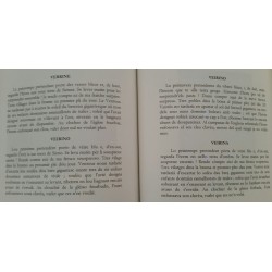 SÈT SESI pèr l'IVÈR - René Char - Extrait Veirina