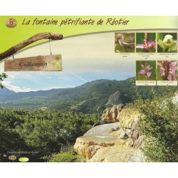 A la découverte des orchidées des Hautes-Alpes - Olivier Tourillon