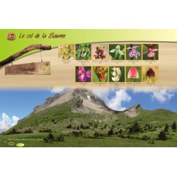 A la découverte des orchidées des Hautes-Alpes - Olivier Tourillon - Itinéraire de découverte du Col de la Saume