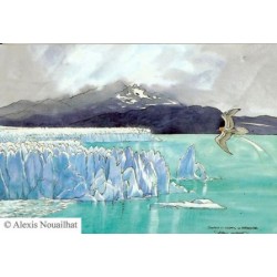 Patagonie - Alexis Nouailhat - Saturnin et Calidris