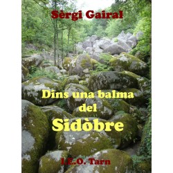 Dins una balma del Sidòbre - Sèrgi Gairal - I.E.O. Tarn éditions