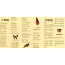 Mai aqui - La Nouvelle Vie de Parpaioun - CD occitan