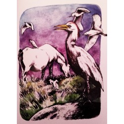 L'istòri dóu pichot chivau - Estelle Ceccarini et Grégory Bonfillon - Illustration