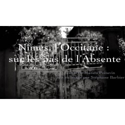 Sus lei piadas de l'Absenta - Matthieu Poitavin - Nimes l'occitane - photo Stéphane Barbier