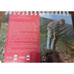 Calendrier perpetuel