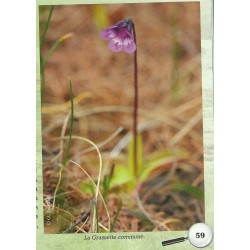 À la découverte du Dévoluy - Emmanuel Pierantoni