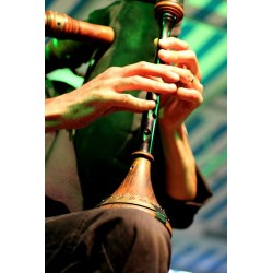 BOMBUS MUSICAE - Mathieu Fantin