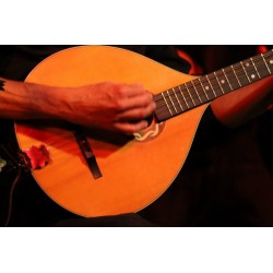 BOMBUS MUSICAE - Mathieu Fantin