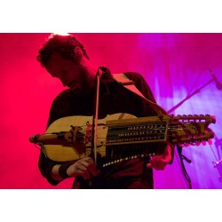 BOMBUS MUSICAE - Mathieu Fantin