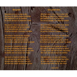 Entre Mar e Cel - Calèu - Una grand (poem by Simone Robert)