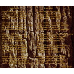 Entre Mar e Cel - Calèu - Arbre, o siai (Marinette Mazoyer)