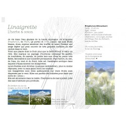 Promesses de fleurs pour randonneurs en Ubaye - Christine de Colombel, Laurence Foucaut, Jean-Philippe Grillet, Roger Le Fers 