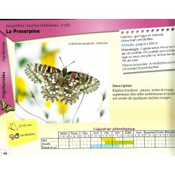 À la découverte des papillons des Hautes-Alpes (Tome 1) - Olivier Tourillon