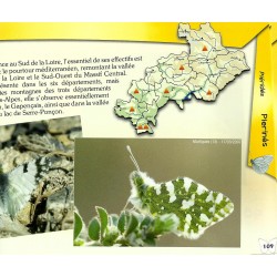 À la découverte des papillons des Hautes-Alpes (Tome 1) - Olivier Tourillon