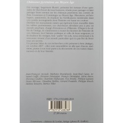 Châteaux pyrénéens au Moyen Âge - Florence Guillot