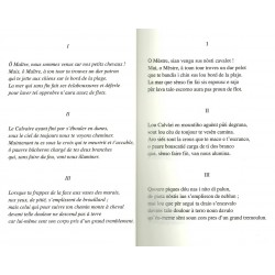 Lou Camin de la Crous di Gardian - Max-Philippe Delavouët